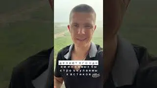 IceRiver KS0 майнинг Kaspa