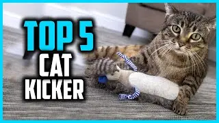 ✅Top 5 Best Cat Kicker Toys for Bunny in 2024