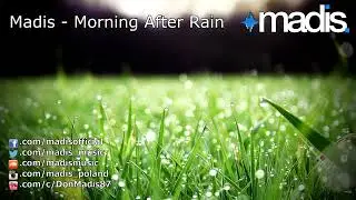 Morning After Rain (Original Mix) · Madis 432 Hz