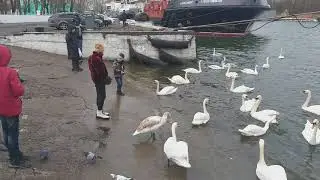 Светлогорс(2)