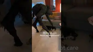 Tired Doggo faces monster  