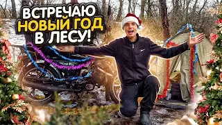 ☃️Celebrating New Year's in the FOREST with alpha😜