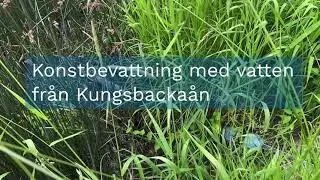 Bevattning med åvatten