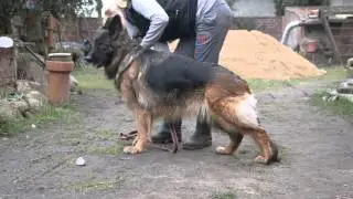 DSC 0791