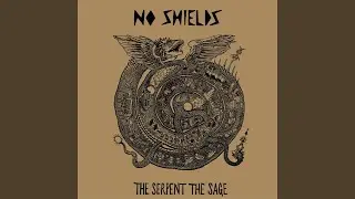 No Shields