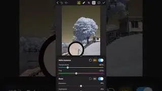 Infrared Editing on iPhone with Photomator