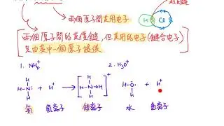 配位共價鍵 Dative Covalent Bond