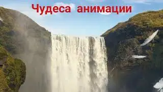 Чудеса анимации.