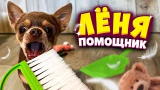 Лёня — помощник!