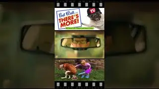 The Bridgestone Beaver