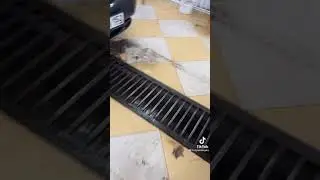 Не понравилась автомойка