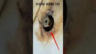 Reason behind this colour 