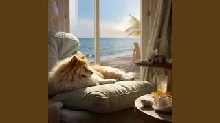 Pooch's Reflections in Rhapsody