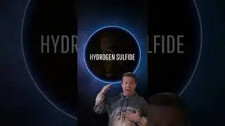 What If a Massive Gravitational Wave Hit Earth? 