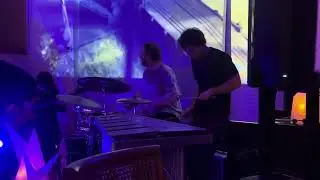 Ambient jam with electric vibraphone