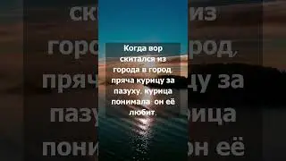 Жизнь с точки зрения курицы. Притча 