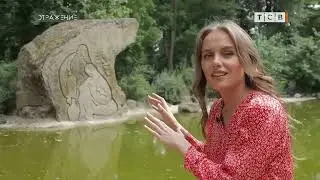 Музыкальный коллектив 
