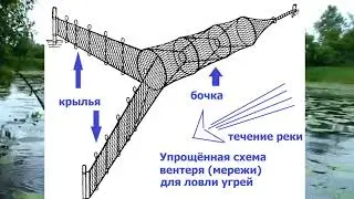 ЧТО ТАКОЕ ВЕРША И КАК НА НЕЁ ЛОВИТЬ РЫБУ