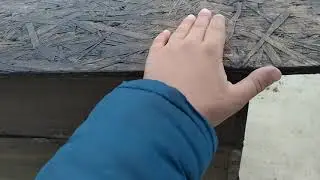 Клетка для бойцовых петухов 🐔