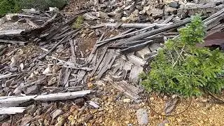 Magnolia Mines 2
