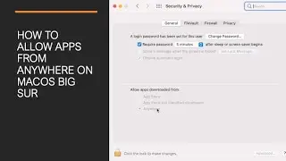 How to Allow Apps from Anywhere on macOS Big Sur