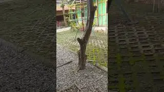 kuliner klaten