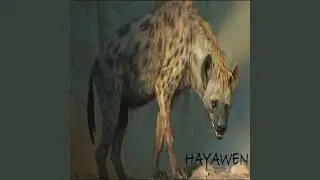 Hayawen