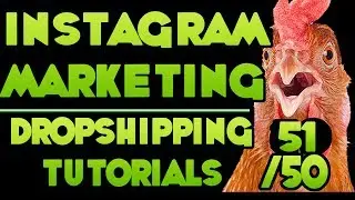 Instagram Marketing (Bonus) - [Free DropShipping Video Tutorials # 51/50]