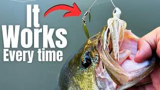 TRULY The Best FALL BAIT For BIG BASS