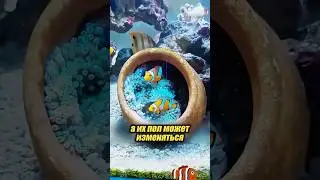 Fish change sex over time 😱🤔 