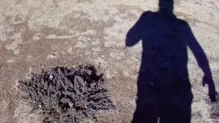 Natracil Stabilized Decomposed Granite - Waste Of Taxpayer Money