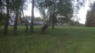 7 июня 2020 г.