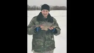 Рузское водохранилище. Куровский залив . 5 - 6 февраля 2020.