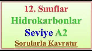 12.SINIFLAR HİDROKARBONLAR SEVİYE A2