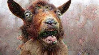 Google Deep Dream Images ~38 min Slideshow (Before & After Photos)