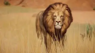 Planet Zoo Nature Intro concept