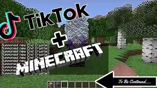Minecraft Tik Tok Compilation #13