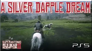 The Exact Moment We Acquired Albert Mason's Silver Dapple Pinto Misssouri Foxtrotter, Live RDR2