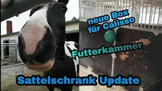 Sattelschrank Update 🐴❤ Futterkammer 🍎 Paddockbox für Calisso ❤
