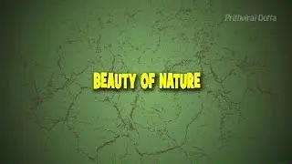 Beauty Of Nature I Prithviraj Dutta
