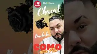 CHACAL - COMO UNA FLOR (BACHATA) (Homenaje para Selena)