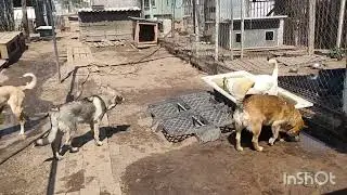 Ну вот и лето🤗☺️