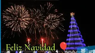 Juegos pirotécnicos Bogotá - Feliz navidad 🎆