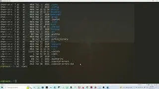 How to set line number by default in vim