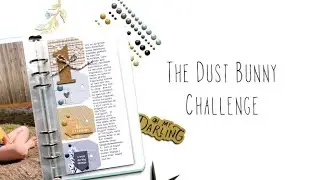 The Dust Bunny Challenge with Kira