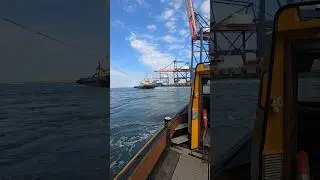 What a GIANT! 🚢 COSCO SHIPPING STAR Docking