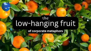 Low Hanging Fruit