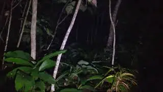 🔴LIVE MISTERI MALAM INI MALAM  JUMAT