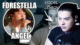 FORESTELLA 