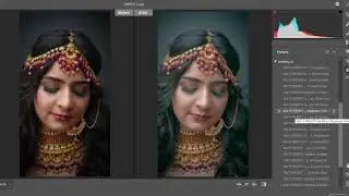 Master Collection presets demo I Multi Presets I Presets for photoshop & Lightroom